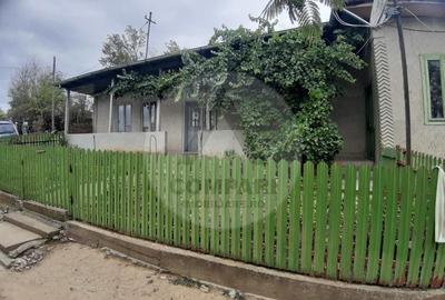 Casă individuală cu 3 camere cu Teren 4900 Mp în Băneasa