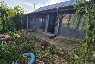 Casă cu 9 camere cu Teren 427 Mp în Central