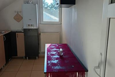 Apartament cu 2 camere în Piața Unirii - 14
