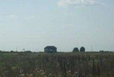 Teren de 644 mp, în Copăceni - 2