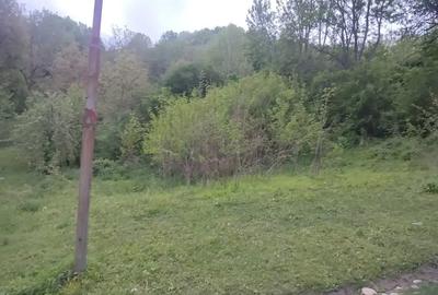 Teren intravilan de 1241 mp, în Provița de Sus - 2