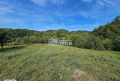 Teren de 10215 mp, în Vulcana-Băi - 3