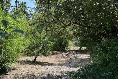 Casă cu 4 camere în Gurahonț - 1
