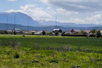 Teren de 588 mp, în Cristian - 1