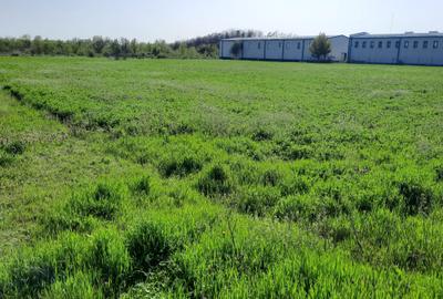 Teren Construcții intravilan de 4600 mp, în Joița - 4