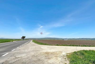 Teren Construcții intravilan de 60000 mp, în Feldioara - 7