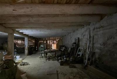 Teren Construcții intravilan de 5000 mp, în Agăș - 10