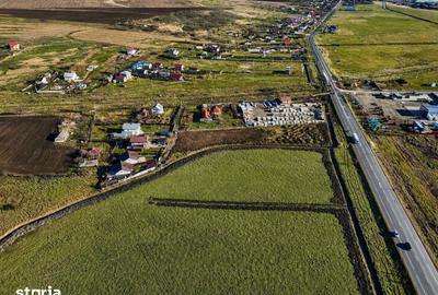 Teren de 15000 mp, în Dumești - 2