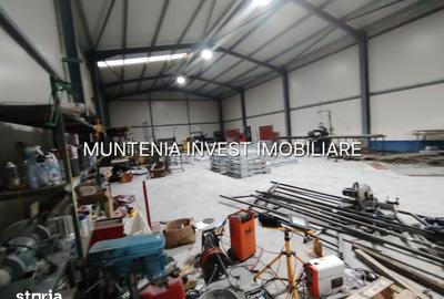 Spațiu comercial, de 480 mp, în Ștefănești - 3