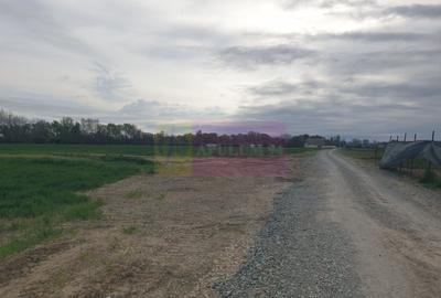 Teren în Măgurele - 12