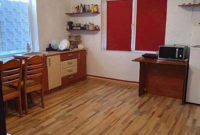 Casă cu 2 camere cu Teren 2460 Mp în Aghireșu - 6