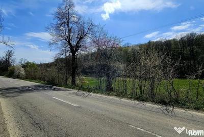 Teren în Nemțișor