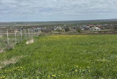 Teren de 1000 mp, în Bosanci - 2