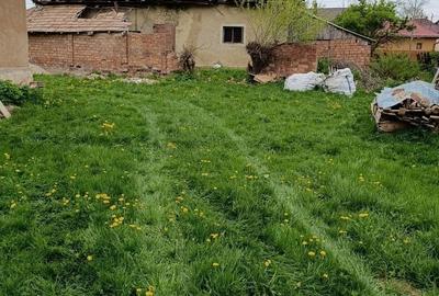 Casă cu 3 camere în Dângău Mare - 1