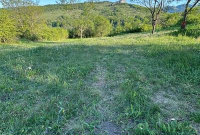 Teren de 975 mp, în Ampoița