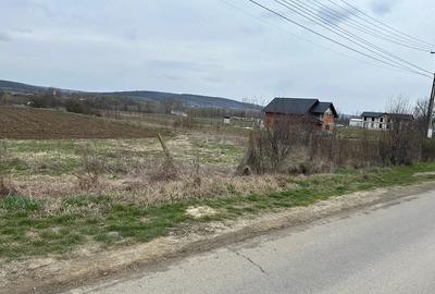 Teren de 660 mp, în Plavia - 4