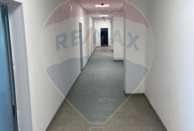 Casă individuală cu 25 camere cu Teren 2600 Mp în Berceni - 9