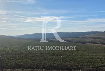 Teren de 3900 mp, în Hidiș