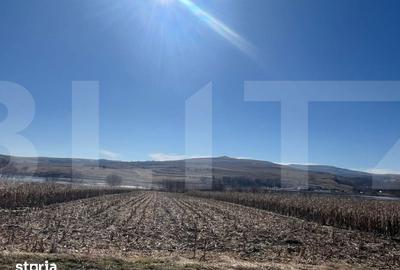 Teren de 2016 mp, în Ciurila - 1