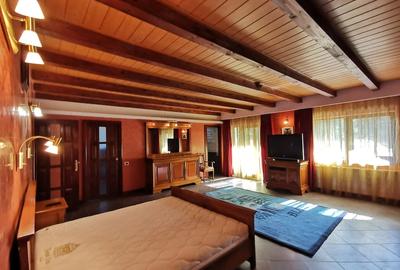 Casă cu 3 camere cu Teren 2600 Mp în Bucium - 3