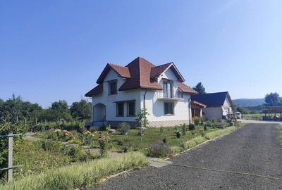 Casă cu Teren 2400 Mp în Vărădia de Mureș - 3