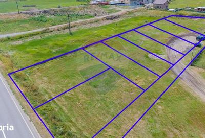Teren de 4000 mp, în Muntenii de Sus - 4