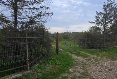 Teren agricol extravilan de 18000 mp, în Boțârlău - 7