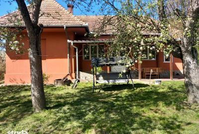 Casă cu 3 camere cu Teren 10632 Mp în Unirii - 1