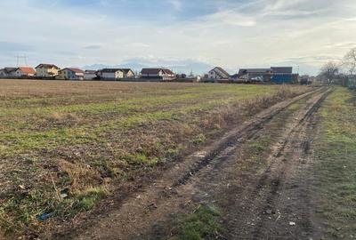 Teren Construcții intravilan de 502 mp, în Hălchiu