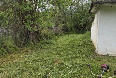 Teren de 1333 mp, în Păușești - 3