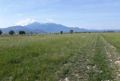 Teren de 8600 mp, în Central - 2