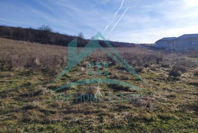Teren Construcții intravilan de 2900 mp, în Chinteni - 2