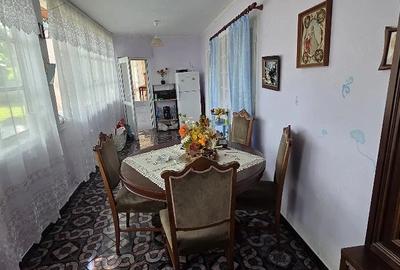 Casă cu 5 camere cu Teren 6000 Mp în Central - 2
