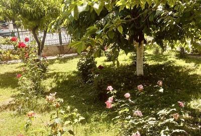 Casă cu 4 camere în Malu Mare - 1