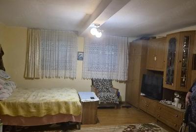 Casă cu 2 camere cu Teren 1500 Mp în Gepiu