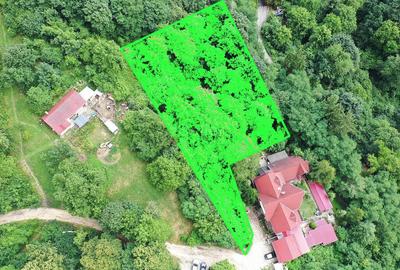 Teren Construcții intravilan de 2700 mp, în Drumul Poienii - 3