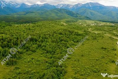 Teren în Porumbacu de Sus - 2