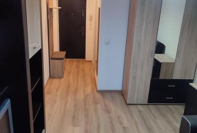Garsonieră semidecomandată în Cățelu - 9