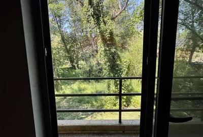 Casă cu 4 camere cu Teren 1300 Mp în Paltin - 8