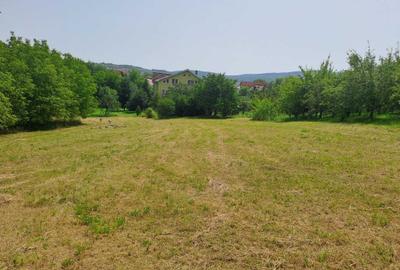 Teren de 4295 mp, în Stana