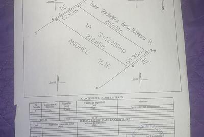 Teren de 12000 mp, în Afumați - 3