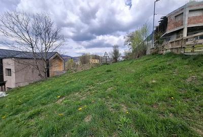 Teren de 500 mp, în Valea Doftanei