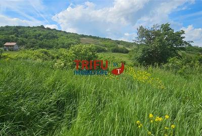 Teren extravilan de 1584 mp, în Ampoi 1