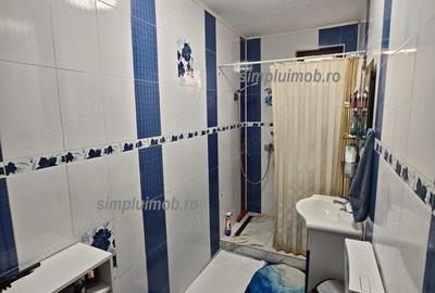 Casă cu Canalizare în Central