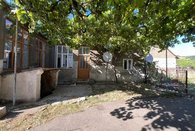 Casă cu 4 camere cu Teren 766 Mp în Geoagiu - 7