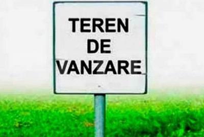 Teren de 20000 mp, în Remetea Mare - 1