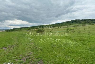 Teren de 2300 mp, în Central - 1