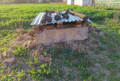 Teren de 2158 mp, în Balinț - 1