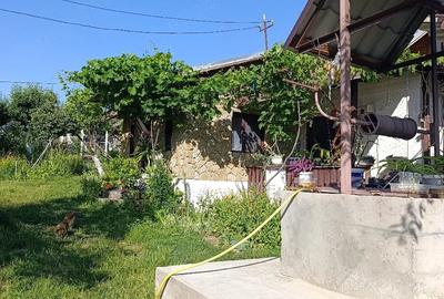 Casă cu 3 camere cu Teren 4300 Mp în Ciucurova - 3