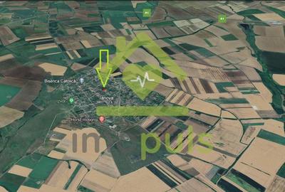 Teren Construcții intravilan de 1000 mp, în Ianova - 11